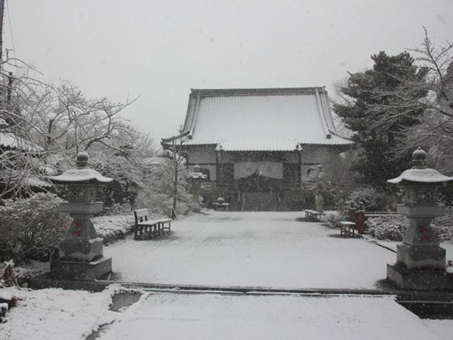 冬の妙覚寺